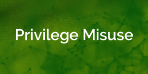 Privilege Misuse